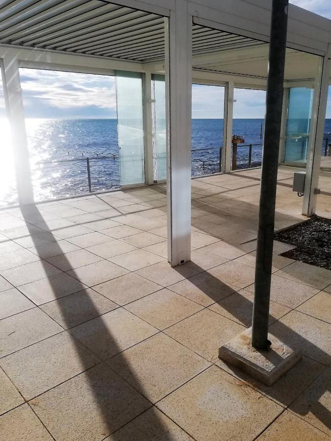 Apartment Jana Novigrad  Zewnętrze zdjęcie